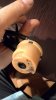 P_20150828_233304_1_p.jpg