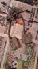P_20160611_015433_1_p.jpg