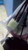 P_20160618_003957_1_p.jpg