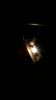 P_20160624_013706_1_p.jpg