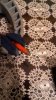 P_20160627_014948_1_p.jpg