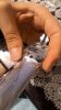 3P_20160708_232818_1_p.jpg