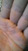 P_20160720_130741_1_p.jpg