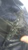 P_20201208_123646_vHDR_Auto.jpg