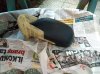 P_20220120_174932_BF.jpg