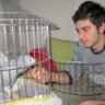 y.emre