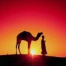 Seyyah