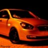 sezgin_43