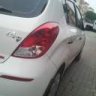 pirana