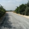 mehmet0278