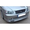 mehmet_alp