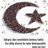 Turk_powerr