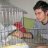y.emre